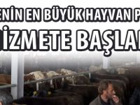 BÖLGENİN EN BÜYÜK HAYVAN PAZARI HİZMETE BAŞLADI