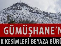 GÜMÜŞHANE’NİN YÜKSEK KESİMLERİ BEYAZA BÜRÜNDÜ