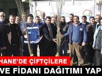 GÜMÜŞHANE’DE ÇİFTÇİLERE MEYVE FİDANI DAĞITIMI YAPILDI