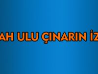 SEYYAH ULU ÇINARIN İZİNDE