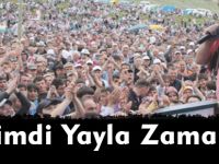 Şimdi Yayla Zamanı