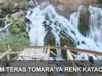 CAM TERAS TOMARA’YA RENK KATACAK