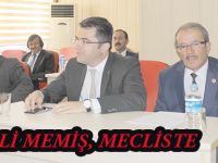 VALİ MEMİŞ, MECLİSTE