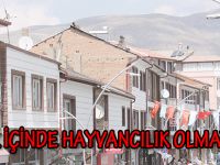 ŞEHİR İÇİNDE HAYVANCILIK OLMAYACAK