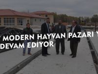 KELKİT MODERN HAYVAN PAZARI YAPIMI HIZLA DEVAM EDİYOR