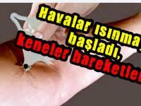 Havalar ısınmaya başladı, keneler hareketlendi