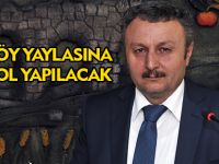 ARPAKÖY YAYLASINA YENİ YOL YAPILACAK