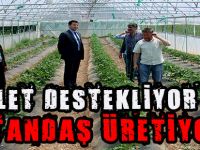 Devlet Destekliyor Vatandaş Üretiyor