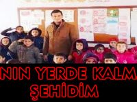 KANIN YERDE KALMADI ŞEHİDİM