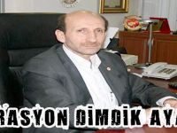 FEDERASYON DİMDİK AYAKTA