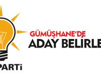 GÜMÜŞHANE'DE ADAY BELİRLENDİ