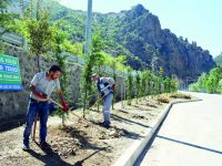 TORUL’DA ÇALIŞMALAR SÜRÜYOR