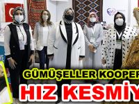 GÜMÜŞELLER KOOPERATİFİ HIZ KESMİYOR