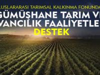 GÜMÜŞHANE TARIM VE HAYVANCILIK FAALİYETLERİNE DESTEK