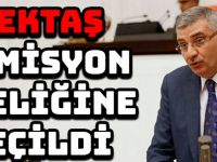 PEKTAŞ KOMİSYON ÜYELİĞİNE SEÇİLDİ