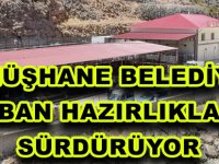 GÜMÜŞHANE BELEDİYESİ KURBAN HAZIRLIKLARINI SÜRDÜRÜYOR