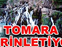 TOMARA SERİNLETİYOR