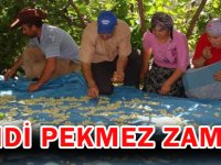 ŞİMDİ PEKMEZ ZAMANI