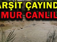 HARŞİT ÇAYINDA YAĞMUR CANLILIĞI