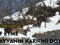 İSRAF ETME BİR HAYVANIN KARNINI DOYUR