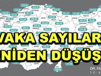 VAKA SAYILARI YENİDEN DÜŞÜŞTE