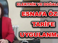 BOSTANCI: ELEKTRİK VE DOĞALGAZDA ESNAFA ÖZEL TARİFE UYGULANMALI