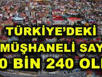 TÜRKİYE’DEKİ GÜMÜŞHANELİ SAYISI 460 BİN 240 OLDU