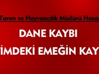 DANE KAYBI ÜRETİMDEKİ EMEĞİN KAYBIDIR