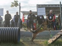 KÜRTÜN MESLEK YÜKSEKOKULU  KÖPEKLİ ARAMA KURTARMA ÇALIŞTAYINA KATILDI