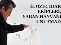 YABAN HAYVANLARI UNUTULMADI