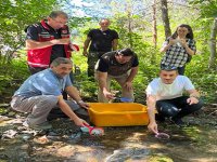 TORUL ÇİT DERESİ’NE 10 BİN YAVRU ALABALIK BIRAKILDI