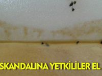 YEMEK SKANDALI'NA YETKİLİLER EL KOYDU