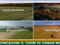 2024 YILI TARIM SİGORTALARI UYGULAMALARINA İLİŞKİN HAZIRLANAN CUMHURBAŞKANI KARARI YAYIMLANDI