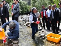 GÜMÜŞHANE’DE DERELERE ALABALIK SALINDI