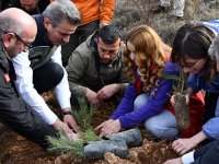 GÜMÜŞHANE’DE BİNLERCE FİDAN TOPRAKLA BULUŞTU