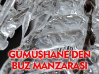 GÜMÜŞHANE'DE BUZ MANZARASI