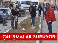 ÇALIŞMALAR SÜRÜYOR