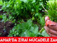 İLKBAHARDA ZİRAİ MÜCADELE ZAMANI