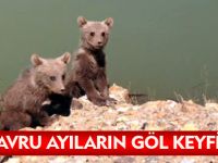 YAVRU AYILARIN GÖL KEYFİ