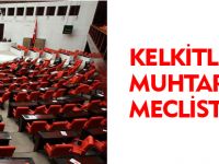 KELKİTLİ MUHTARLAR MECLİSTE