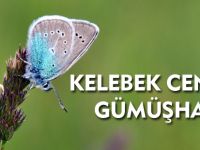 KELEBEK CENNETİ GÜMÜŞHANE