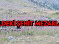 GÖLDEKİ ŞEHİT MEZARLARI