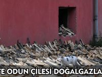 KELKİT’TE ODUN ÇİLESİ DOĞALGAZLA BİTECEK