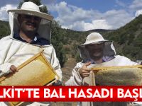 KELKİT'TE BAL HASADI BAŞLADI