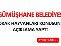 GÜMÜŞHANE BELEDİYESİ SOKAK HAYVANLARI KONUSUNDA AÇIKLAMA YAPTI