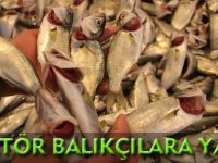 AMATÖR BALIKÇILARA YASAK