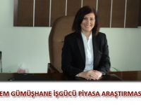 BİRİNCİ DÖNEM GÜMÜŞHANE İŞGÜCÜ PİYASA ARAŞTIRMASI YAPILACAK