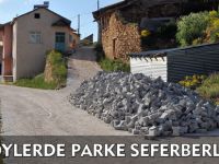 KÖYLERDE PARKE SEFERBERLİĞİ