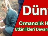 Dünya Ormancılık Haftası Etkinlikleri Devam Ediyor