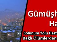 Gümüşhane Havası Solunum Yolu Hastalıklarına Bağlı Ölümlerden Koruyor